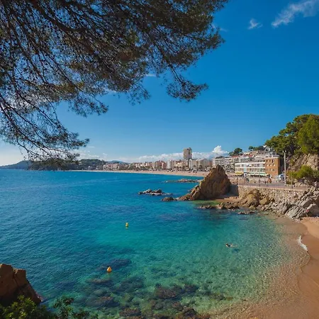 Apartment Comfortable With A Swimming Pool, 250m To The Sea. Lloret de Mar